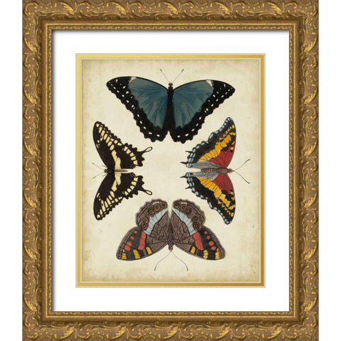 Display of Butterflies I Gold Ornate Wood Framed Art Print with Double Matting by Vision Studio