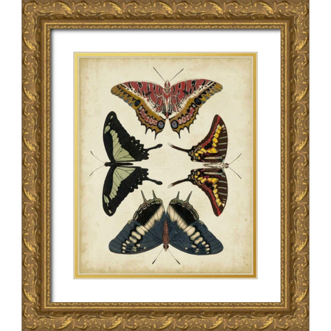 Display of Butterflies II Gold Ornate Wood Framed Art Print with Double Matting by Vision Studio