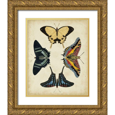 Display of Butterflies III Gold Ornate Wood Framed Art Print with Double Matting by Vision Studio