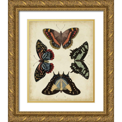 Display of Butterflies IV Gold Ornate Wood Framed Art Print with Double Matting by Vision Studio