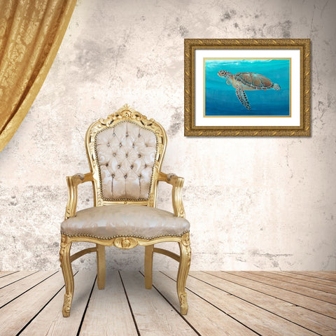 Ocean Sea Turtle II Gold Ornate Wood Framed Art Print with Double Matting by OToole, Tim
