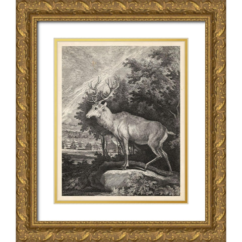 Woodland Deer II Gold Ornate Wood Framed Art Print with Double Matting by Ridinger