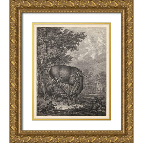 Woodland Deer IV Gold Ornate Wood Framed Art Print with Double Matting by Ridinger