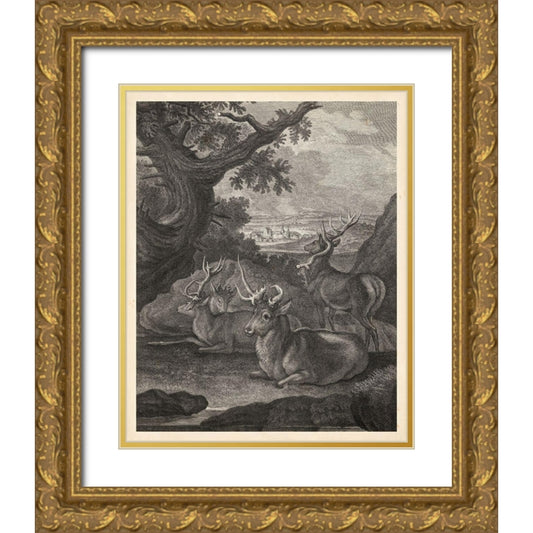 Perspective Image