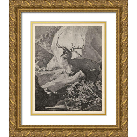 Woodland Deer VIII Gold Ornate Wood Framed Art Print with Double Matting by Ridinger
