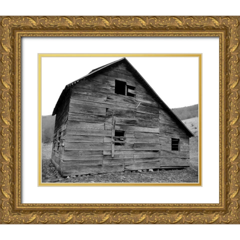 Weather Worn IV Gold Ornate Wood Framed Art Print with Double Matting by Ludwig, Alicia