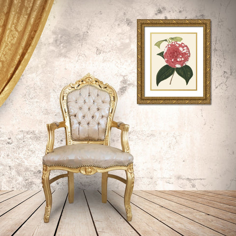 Antique Camellia II Gold Ornate Wood Framed Art Print with Double Matting by Houtte, Van
