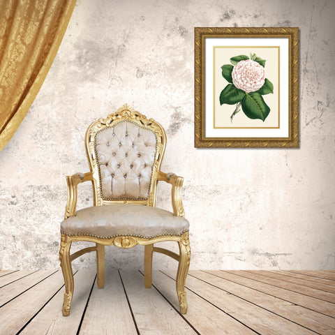 Antique Camellia IV Gold Ornate Wood Framed Art Print with Double Matting by Houtte, Van