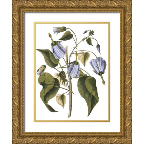 Lavender Floral I Gold Ornate Wood Framed Art Print with Double Matting by Vision Studio