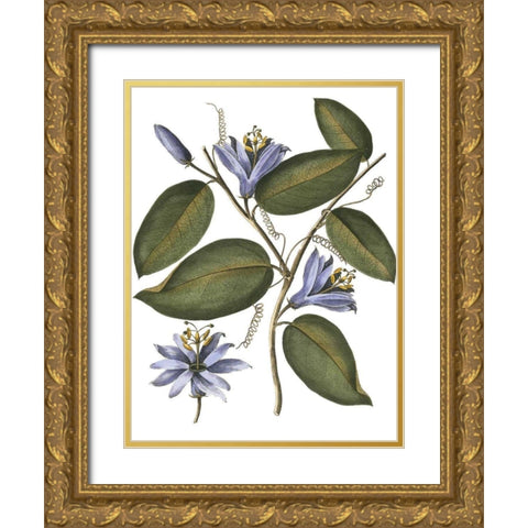 Lavender Floral III Gold Ornate Wood Framed Art Print with Double Matting by Vision Studio