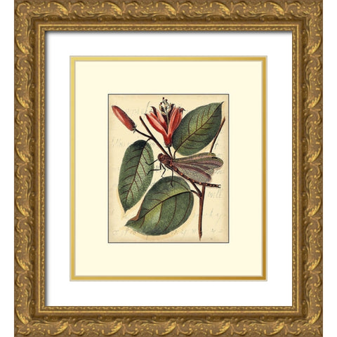 Petite Dragonflies V Gold Ornate Wood Framed Art Print with Double Matting by Vision Studio
