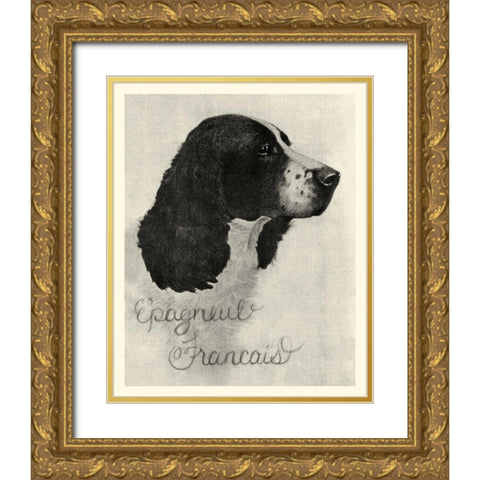 B and W Epagneul Francais Gold Ornate Wood Framed Art Print with Double Matting by Vision Studio