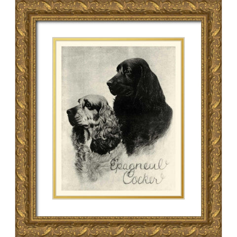 B and W Epagneul Cocker Gold Ornate Wood Framed Art Print with Double Matting by Vision Studio