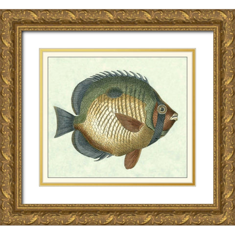Butterfly Fish I Gold Ornate Wood Framed Art Print with Double Matting by Vision Studio