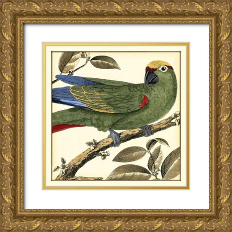 Tropical Parrot I Gold Ornate Wood Framed Art Print with Double Matting by Martinet
