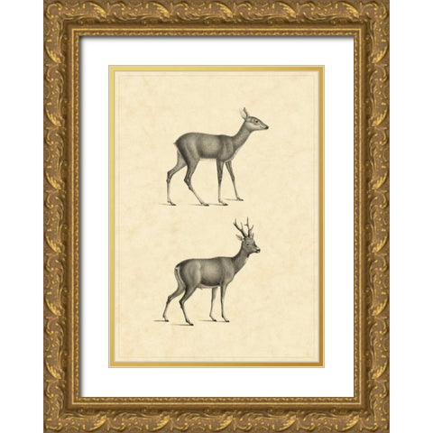 Vintage Deer I Gold Ornate Wood Framed Art Print with Double Matting by Vision Studio