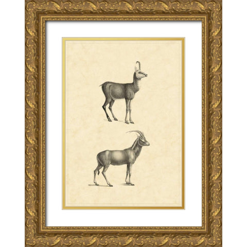 Vintage Antelope Gold Ornate Wood Framed Art Print with Double Matting by Vision Studio