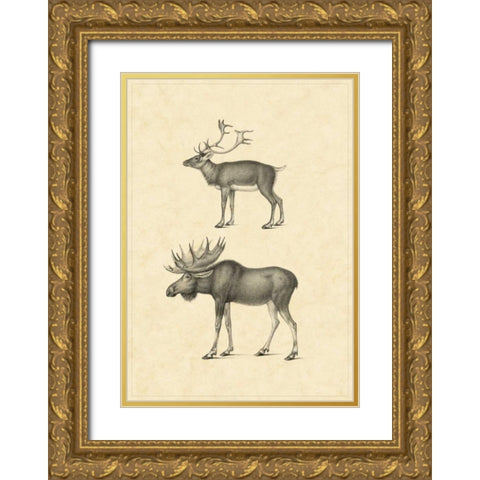 Vintage Elk Gold Ornate Wood Framed Art Print with Double Matting by Vision Studio