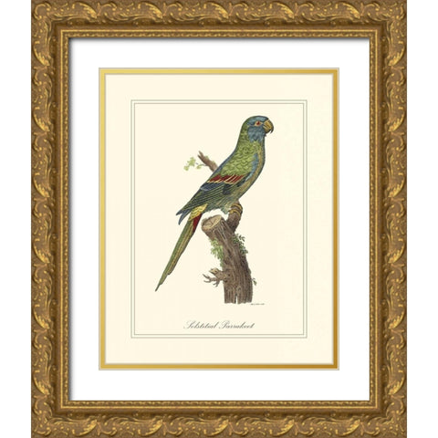 Solstitial Parrakeet Gold Ornate Wood Framed Art Print with Double Matting by Edwards, George