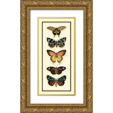 Butterfly Collector V Gold Ornate Wood Framed Art Print with Double Matting by Zarris, Chariklia