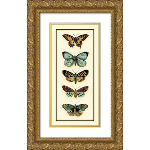 Butterfly Collector VI Gold Ornate Wood Framed Art Print with Double Matting by Zarris, Chariklia