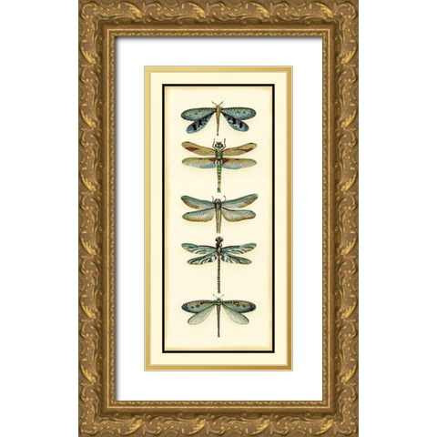 Dragonfly Collector I Gold Ornate Wood Framed Art Print with Double Matting by Zarris, Chariklia