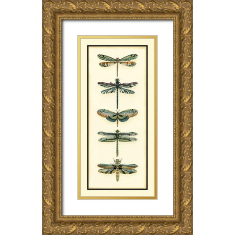 Dragonfly Collector II Gold Ornate Wood Framed Art Print with Double Matting by Zarris, Chariklia