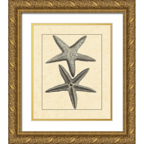 AntiqueandDeckle Vintage Starfish I Gold Ornate Wood Framed Art Print with Double Matting by Vision Studio
