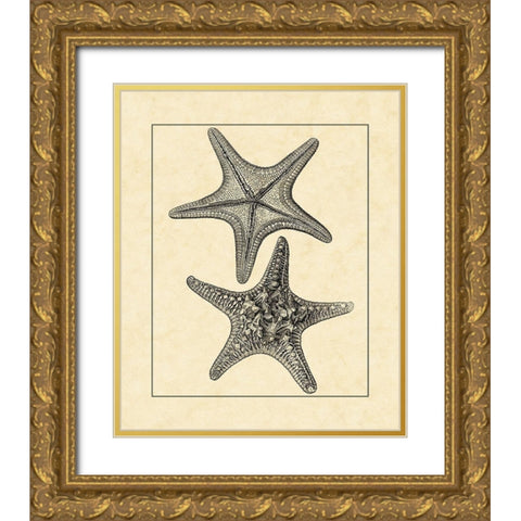 AntiqueandDeckle Vintage Starfish II Gold Ornate Wood Framed Art Print with Double Matting by Vision Studio