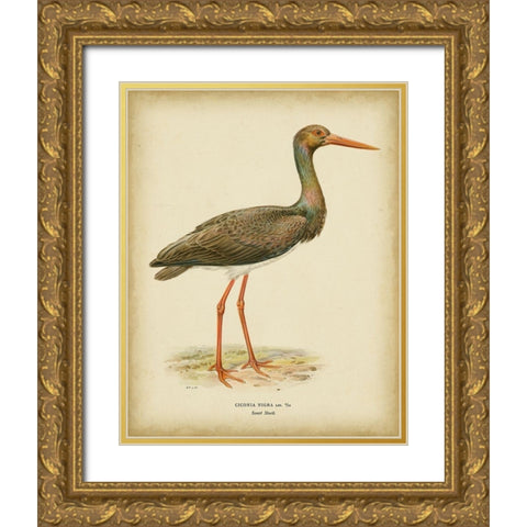 Non-embellished Vintage Heron I Gold Ornate Wood Framed Art Print with Double Matting by Wright, Von