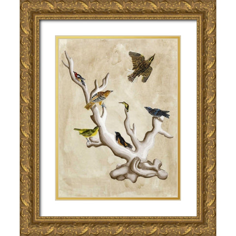 The Ornithologists Dream III Gold Ornate Wood Framed Art Print with Double Matting by McCavitt, Naomi