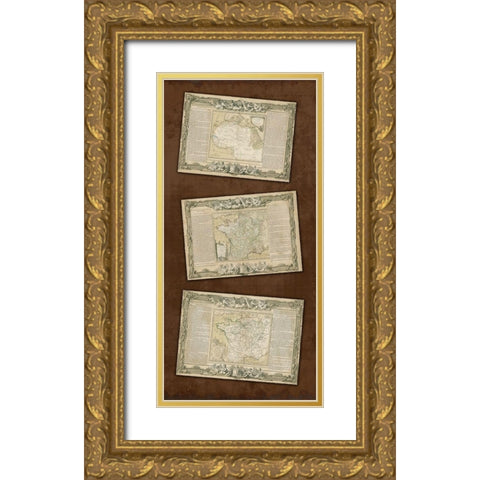 Weathered Maps III Gold Ornate Wood Framed Art Print with Double Matting by Vision Studio