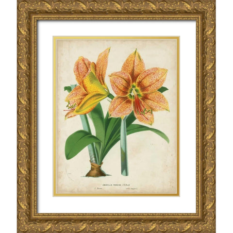 Tropical Array I Gold Ornate Wood Framed Art Print with Double Matting by Van Houtteano, Horto