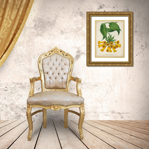 Tropical Array II Gold Ornate Wood Framed Art Print with Double Matting by Van Houtteano, Horto