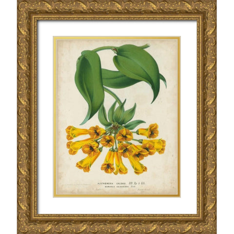 Tropical Array II Gold Ornate Wood Framed Art Print with Double Matting by Van Houtteano, Horto