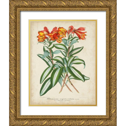 Tropical Array III Gold Ornate Wood Framed Art Print with Double Matting by Van Houtteano, Horto