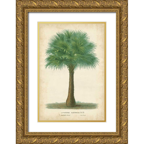 Palm of the Tropics I Gold Ornate Wood Framed Art Print with Double Matting by Van Houtteano, Horto