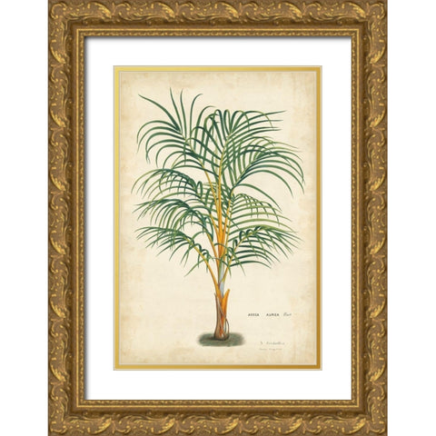 Palm of the Tropics III Gold Ornate Wood Framed Art Print with Double Matting by Van Houtteano, Horto