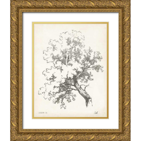 Oak Tree Study Gold Ornate Wood Framed Art Print with Double Matting by Unknown