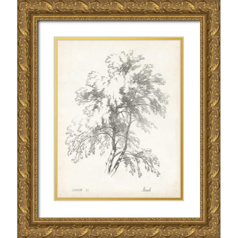 Birch Tree Study Gold Ornate Wood Framed Art Print with Double Matting by Unknown