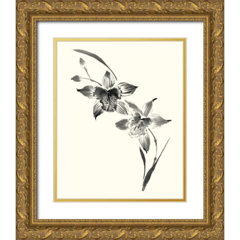 Studies in Ink - Cymbidium Gold Ornate Wood Framed Art Print with Double Matting by Rae, Nan