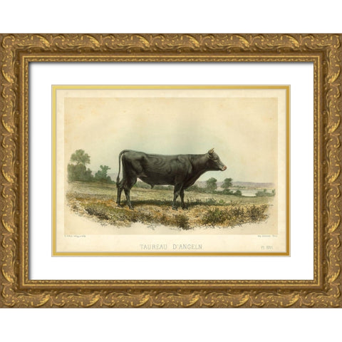 Taureau D Angeln Gold Ornate Wood Framed Art Print with Double Matting by Bonheur, I.