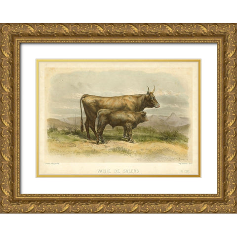 Vache De Salers Gold Ornate Wood Framed Art Print with Double Matting by Bonheur, I.