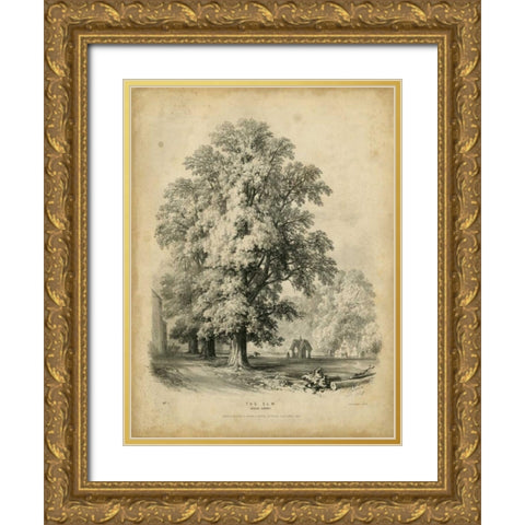 The Elm  Gold Ornate Wood Framed Art Print with Double Matting by Barnard, George