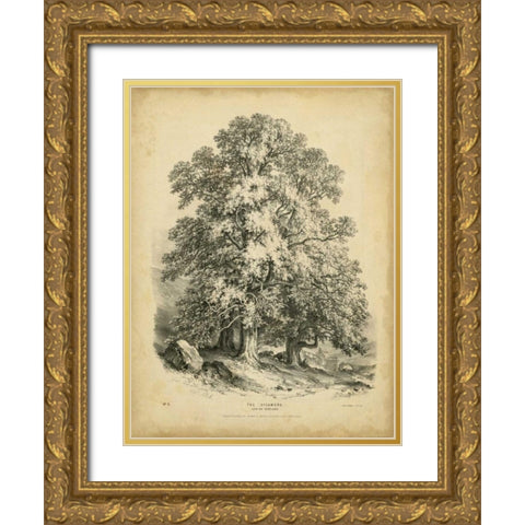 The Sycamore Gold Ornate Wood Framed Art Print with Double Matting by Barnard, George