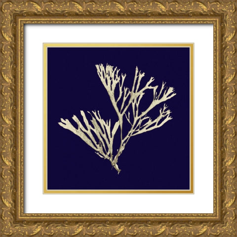 Seaweed on Navy II Gold Ornate Wood Framed Art Print with Double Matting by Vision Studio
