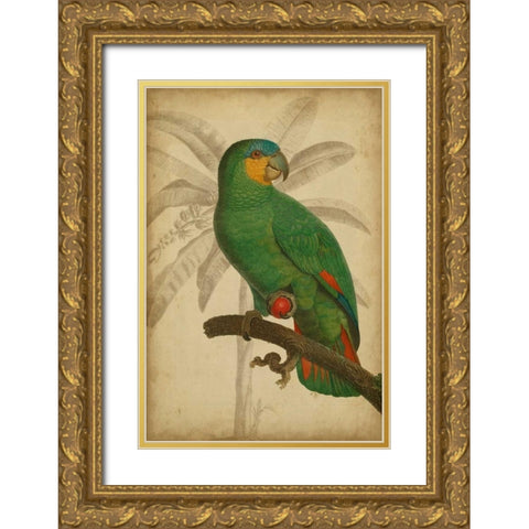 Parrot and Palm I Gold Ornate Wood Framed Art Print with Double Matting by Vision Studio
