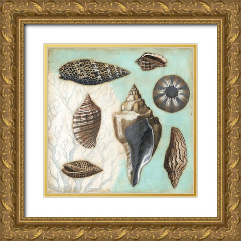 Antique Shell Collage II Gold Ornate Wood Framed Art Print with Double Matting by Meagher, Megan