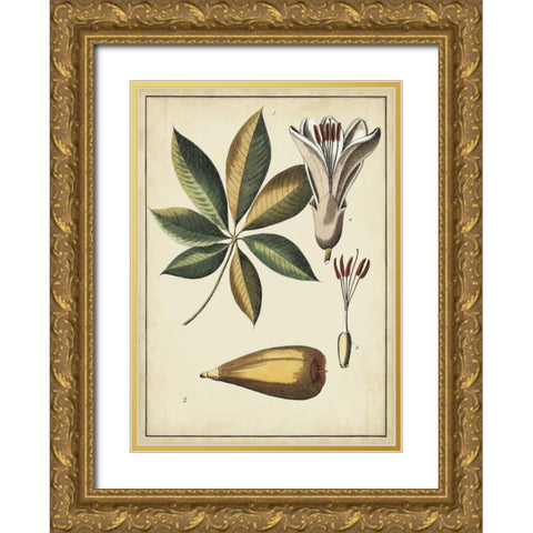Ivory Botanical Study IV Gold Ornate Wood Framed Art Print with Double Matting by Vision Studio