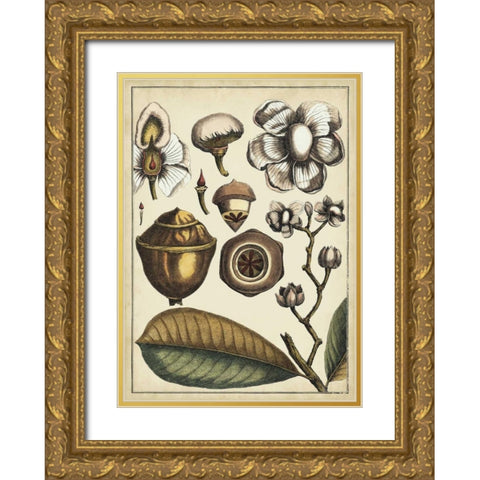 Ivory Botanical Study VI Gold Ornate Wood Framed Art Print with Double Matting by Vision Studio